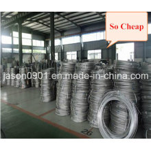 Steel Wire, Oil Temper Wire, Stainless Steel Wire Factory